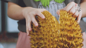 榴蓮剝好肉后，搗成泥狀。