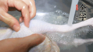 土雞處理干凈。（如果買不到土雞，一般的雞也是可以的，不過需要汆水。溫水下鍋汆燙7分鐘左右，汆燙時需要適時翻動。汆燙雞肉是為了去掉生腥味，也是一次徹底清潔的過程，可以使燉出的湯清爽而不渾濁，鮮香而無異味）