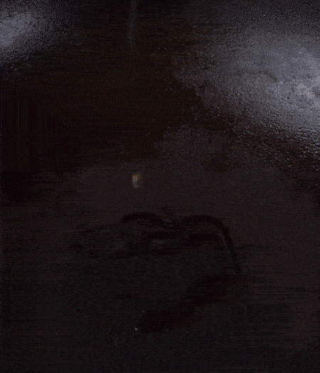 冷鍋熱油，下蒜片爆香，下香腸、玉米筍、蓮藕、西芹爆炒，期間加點(diǎn)水，翻炒1分鐘后加新鮮百合片，翻炒30秒。