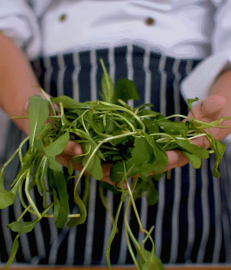 馬蘭頭焯水，切成細末。