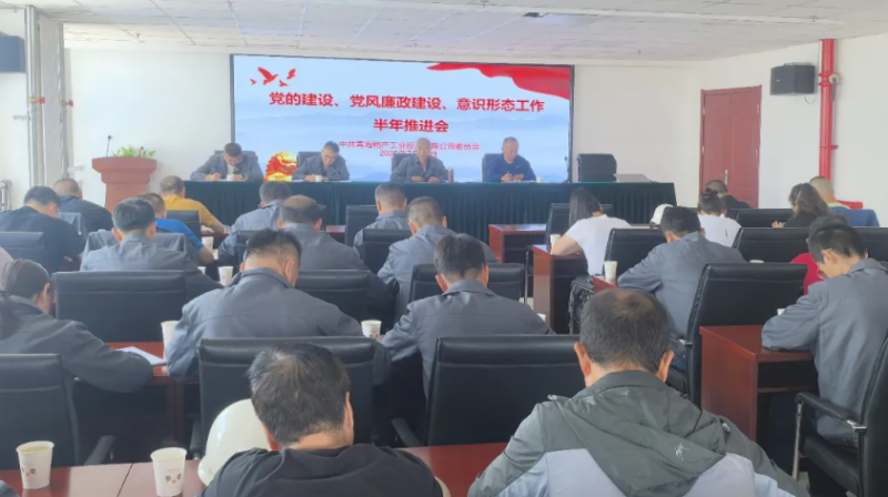 工投公司黨委召開黨的建設(shè)、黨風(fēng)廉政建設(shè)、意識形態(tài)工作半年推進會